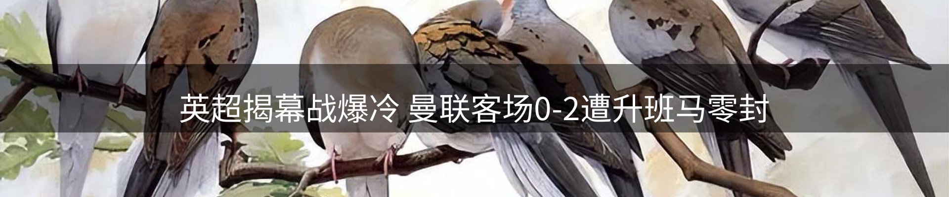 今日资讯